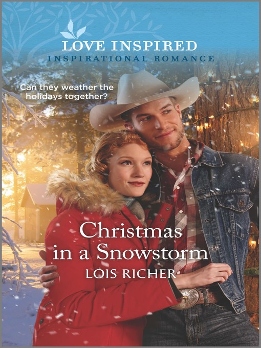 Title details for Christmas in a Snowstorm by Lois Richer - Available